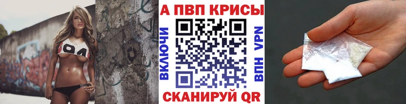 A PVP СК Вологда