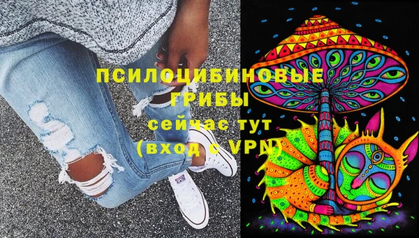 дурь Абаза