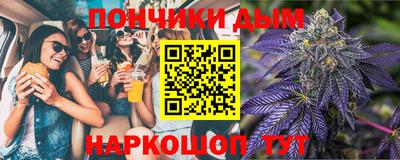 гидра Гай