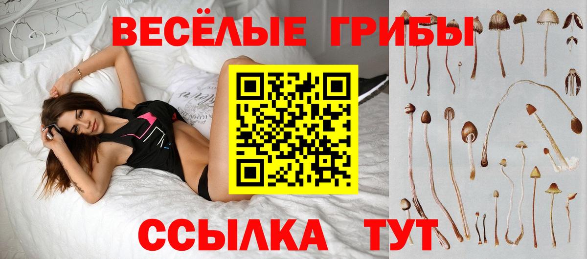 Вологда  Псилоцибиновые грибы Cubensis  Галлюциногенные грибы ЛСД  Вход с VPN 