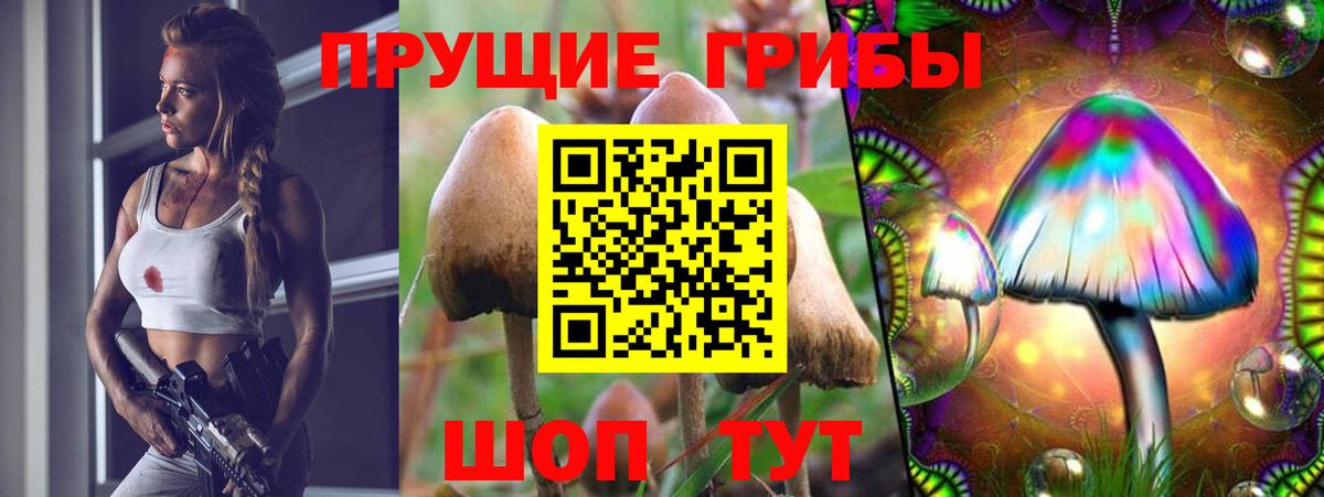Псилоцибиновые грибы MAGIC MUSHROOMS Вологда