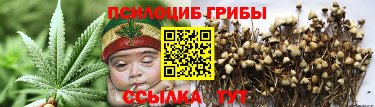 Галлюциногенные грибы Magic Shrooms Вологда