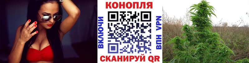 купить закладку ссылка на мегу вход Канабис конопля Вологда